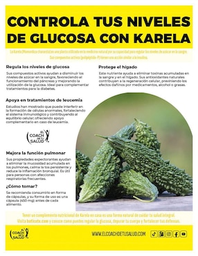 Suplemento alimenticio karela orgánica estandarizada Sana Terra con karela momordica charantia de 120 cáp