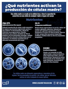 Suplemento alimenticio activador de celulas madre alga afa y fo ti Vital Tonic con hongo shiitake de 60 cáp