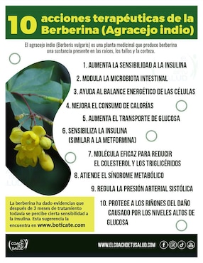 Suplemento alimenticio berberina del agracejo indio Herba Ceuticals de 120 cáp