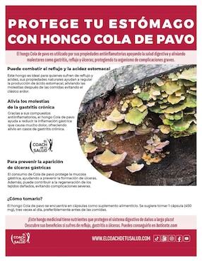 Suplemento alimenticio hongos cordyceps melena de leon cola pavo Enercomplex Plant de 120 cáp