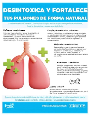 Suplemento alimenticio nac glutation y ácido alfa lipoico Broncodren de 30 cáp