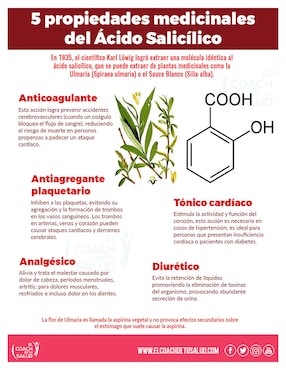 Set de suplemento alimenticio Fuente Natural de Ácido Salicílico Bio Cefalin con ulmaria-flor (Spiraea ulmaria)
