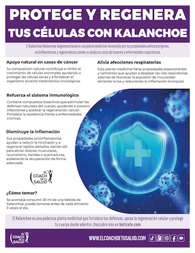Suplemento alimenticio Berberina del Agracejo Indio Biogene Pro con kalanchoe de 900 ml