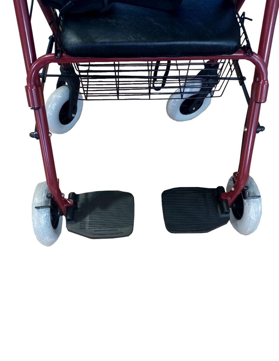 Andadera hibrida Rollator 5