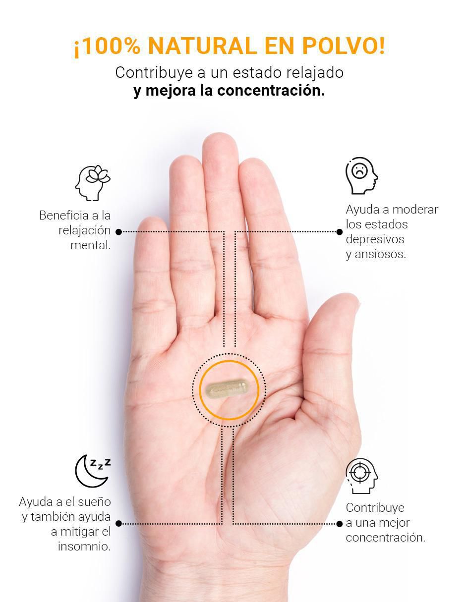 Suplemento Alimenticio Ashwagandha 2