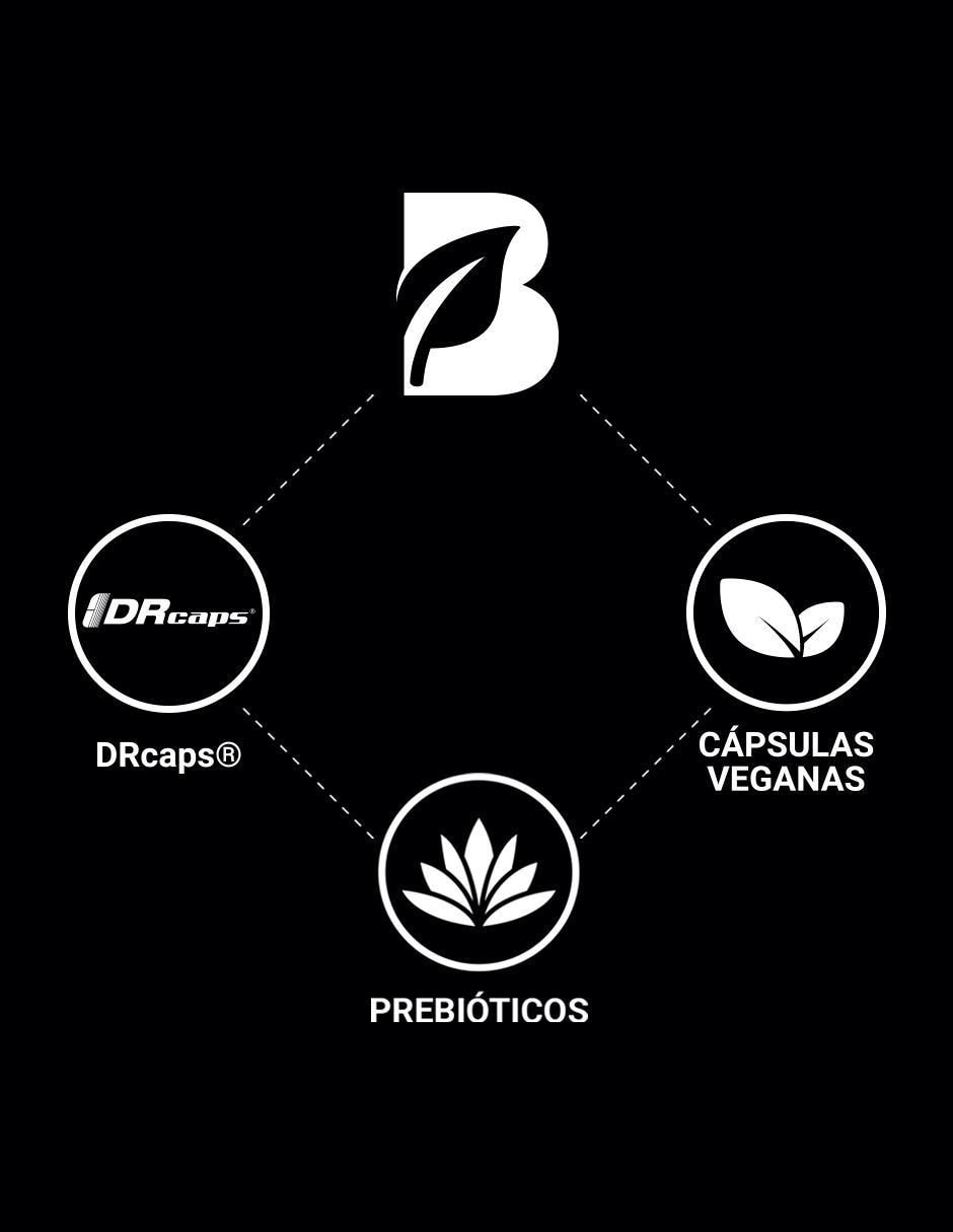 Suplemento Alimenticio Probióticos y Prebióticos 60 Billion 6