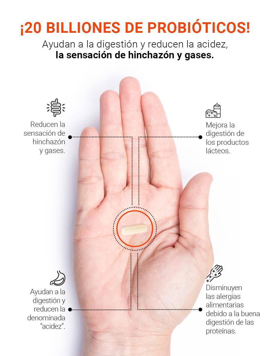 Suplemento Alimenticio Enzimas Digestivas 2