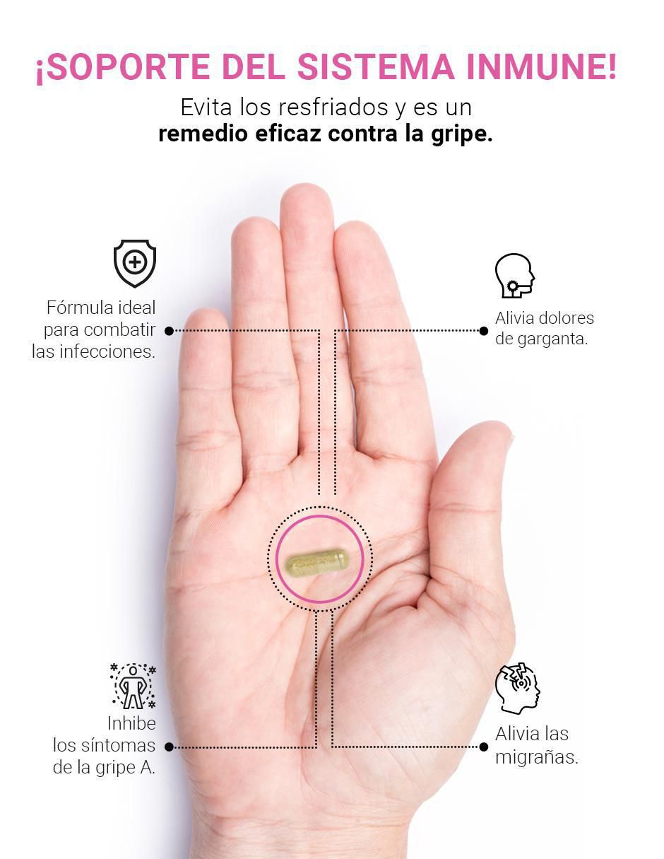Suplemento Alimenticio Equinácea con Ajo Negro Vitamina C 2