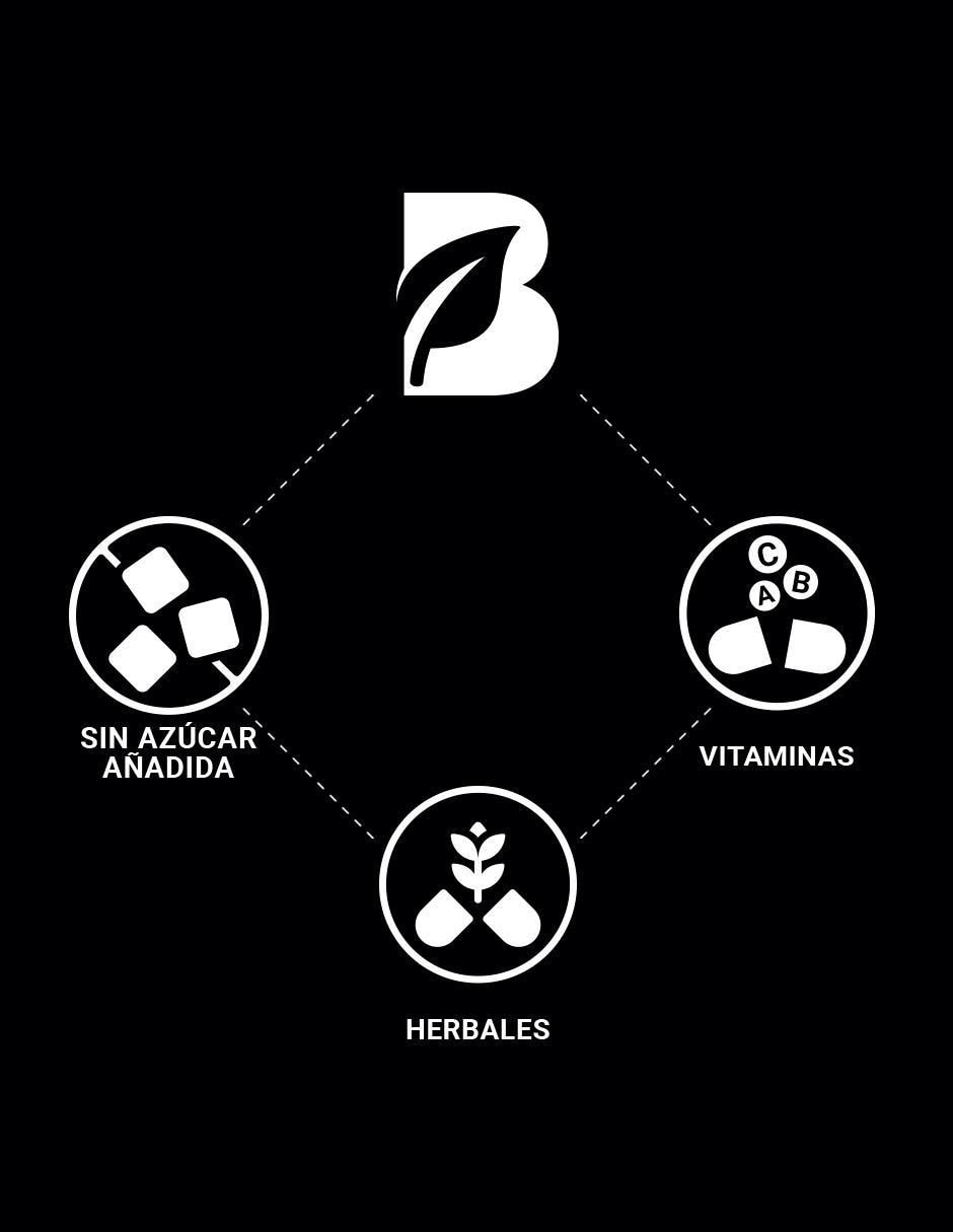 Suplemento Alimenticio Equinácea con Ajo Negro Vitamina C 6