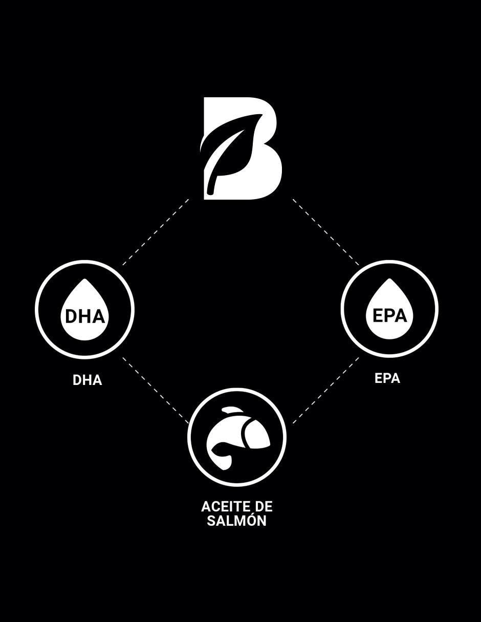 Suplemento Alimenticio Omega 3 Salmón Epa Dha 6