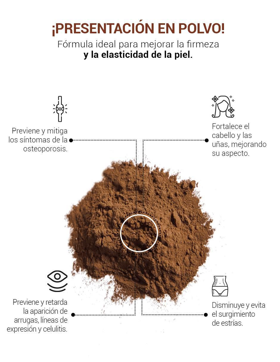 Suplemento Alimenticio Colageno Hidrolizado Chocolate con Biotina B 2