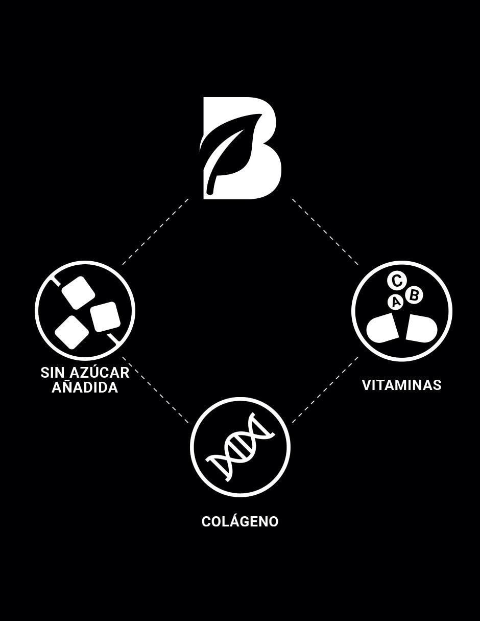 Suplemento Alimenticio Colageno Hidrolizado Chocolate con Biotina B 6