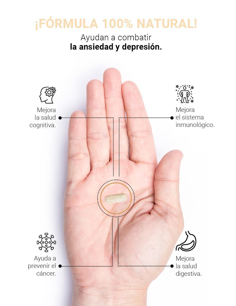 Suplemento Alimenticio Hongo de Melena de León 2