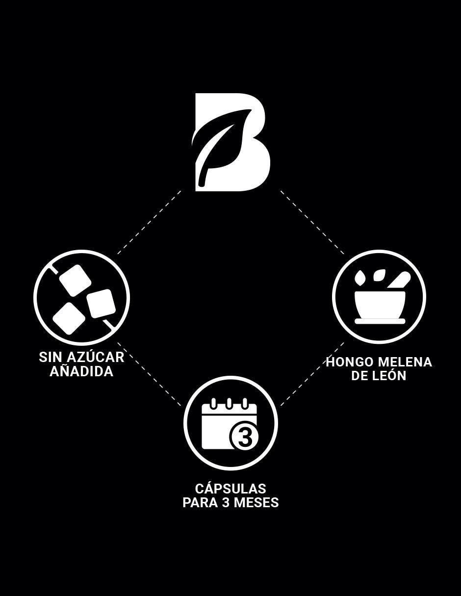Suplemento Alimenticio Hongo de Melena de León 6