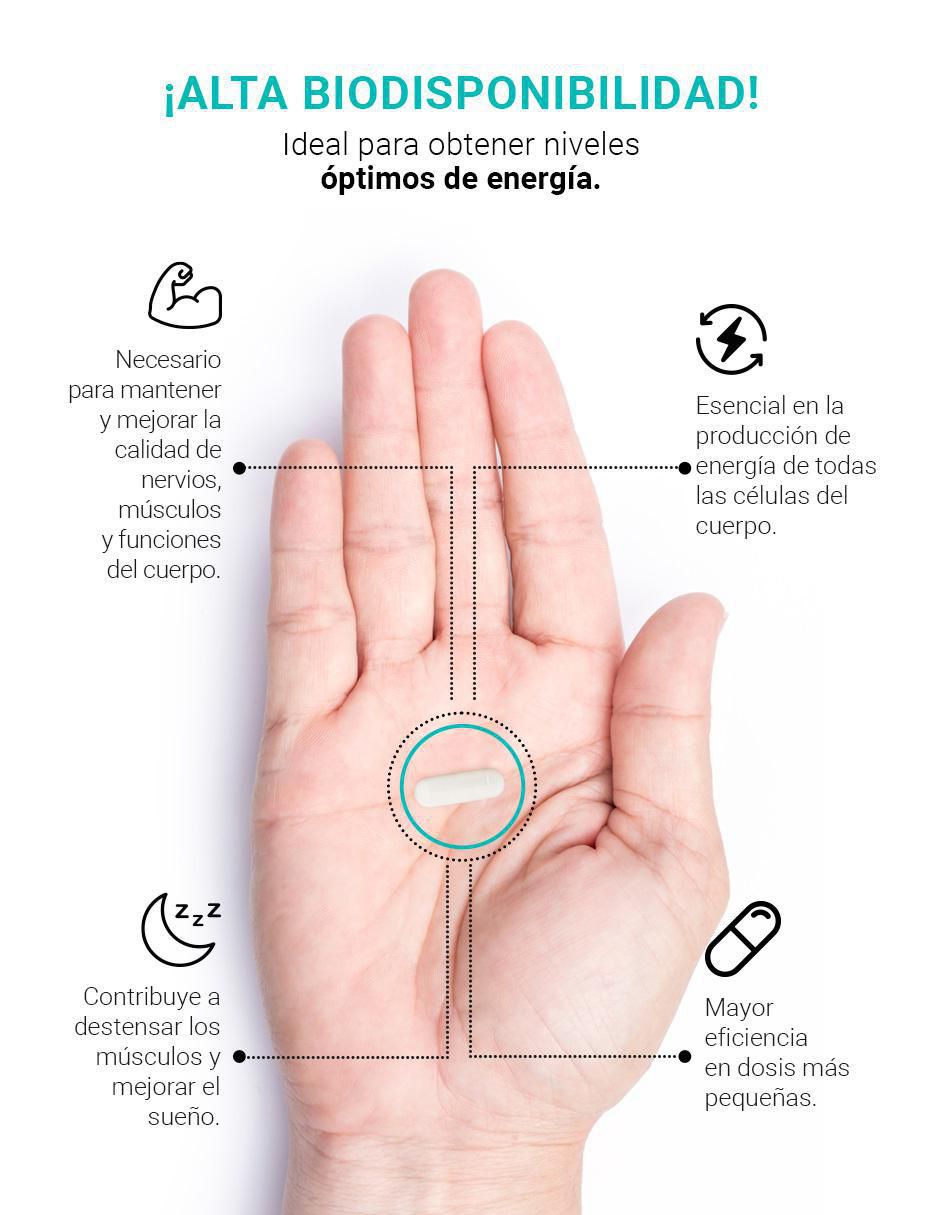 Suplemento Alimenticio Glicinato de Magnesio 2