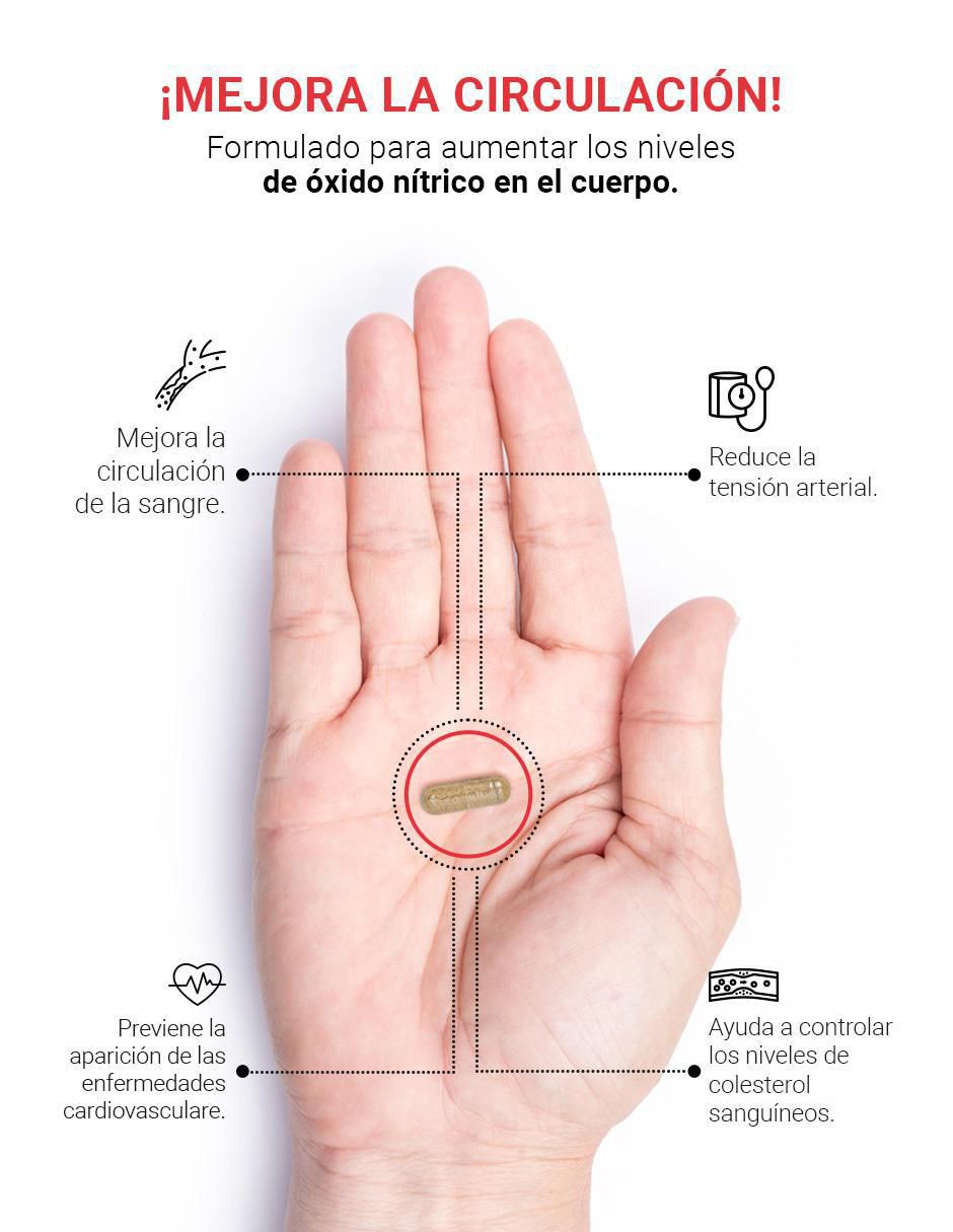 Suplemento Alimenticio Complejo para la Circulación 2
