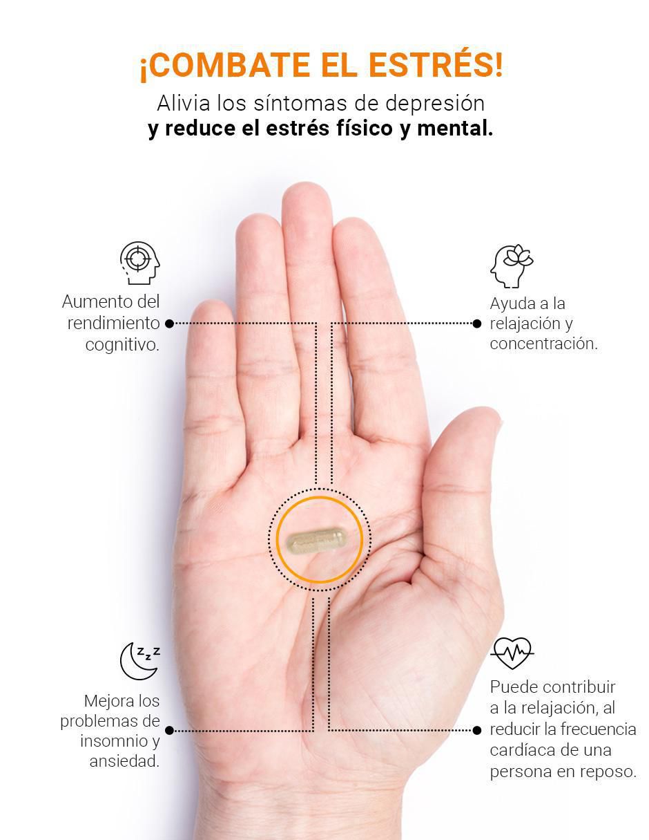 Suplemento Alimenticio Calm Blend 2