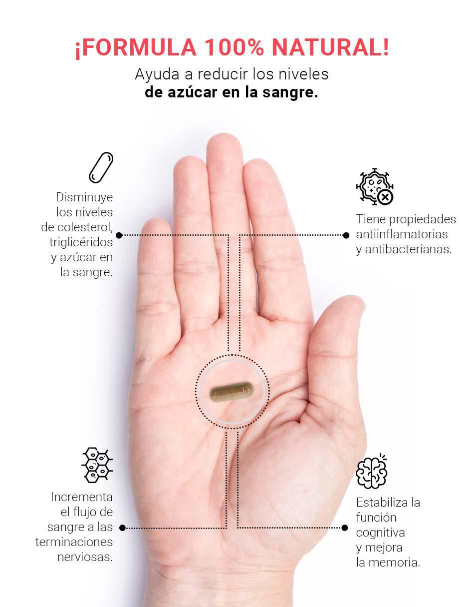 Tratamiento 2