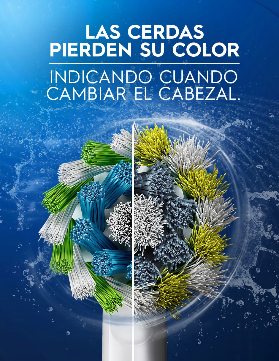 Cepillo de dientes eléctrico Power 15