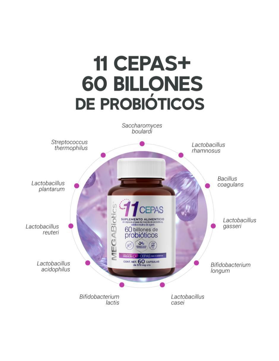 11 Cepas con inulina de agave, lactobacillus acidophilus de 60 cápsulas 6
