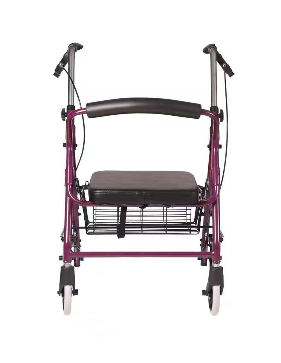 Andadera Rollator con asiento y canastilla