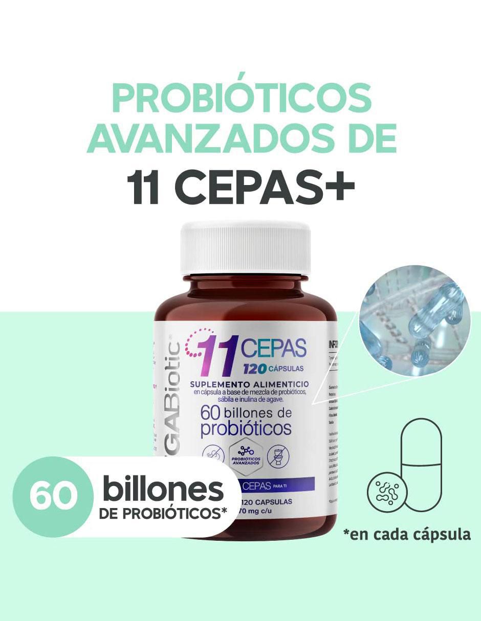 Probióticos 60 Billones y 11 Cepas e Inulina de Agave con enzimas digestivas y probióticos 2