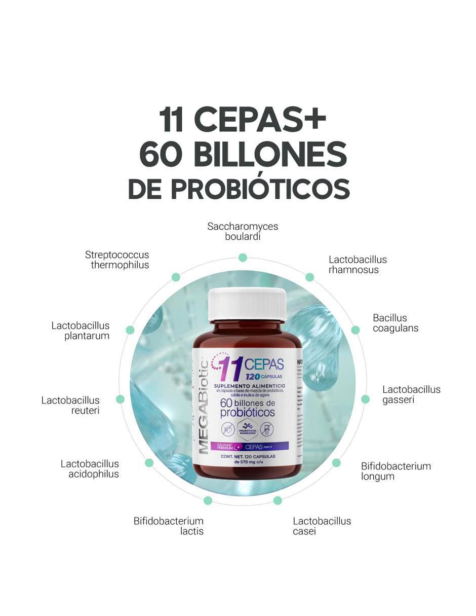 Probióticos 60 Billones y 11 Cepas e Inulina de Agave con enzimas digestivas y probióticos 4