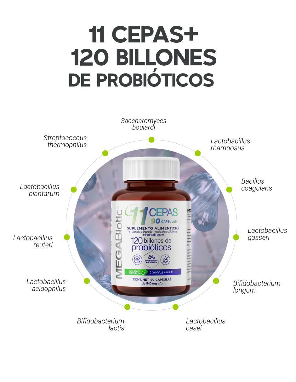 Probióticos 120 billones y 11 cepas inulina de agave y aloe vera con enzimas digestivas y probióticos de 540 mg 6