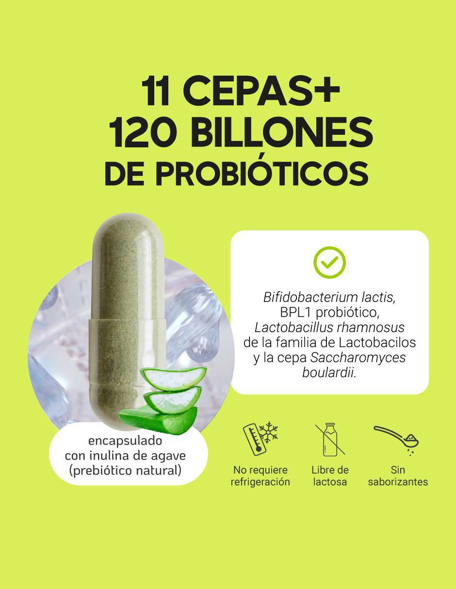 Probióticos 120 billones y 11 cepas inulina de agave y aloe vera con enzimas digestivas y probióticos de 540 mg 12