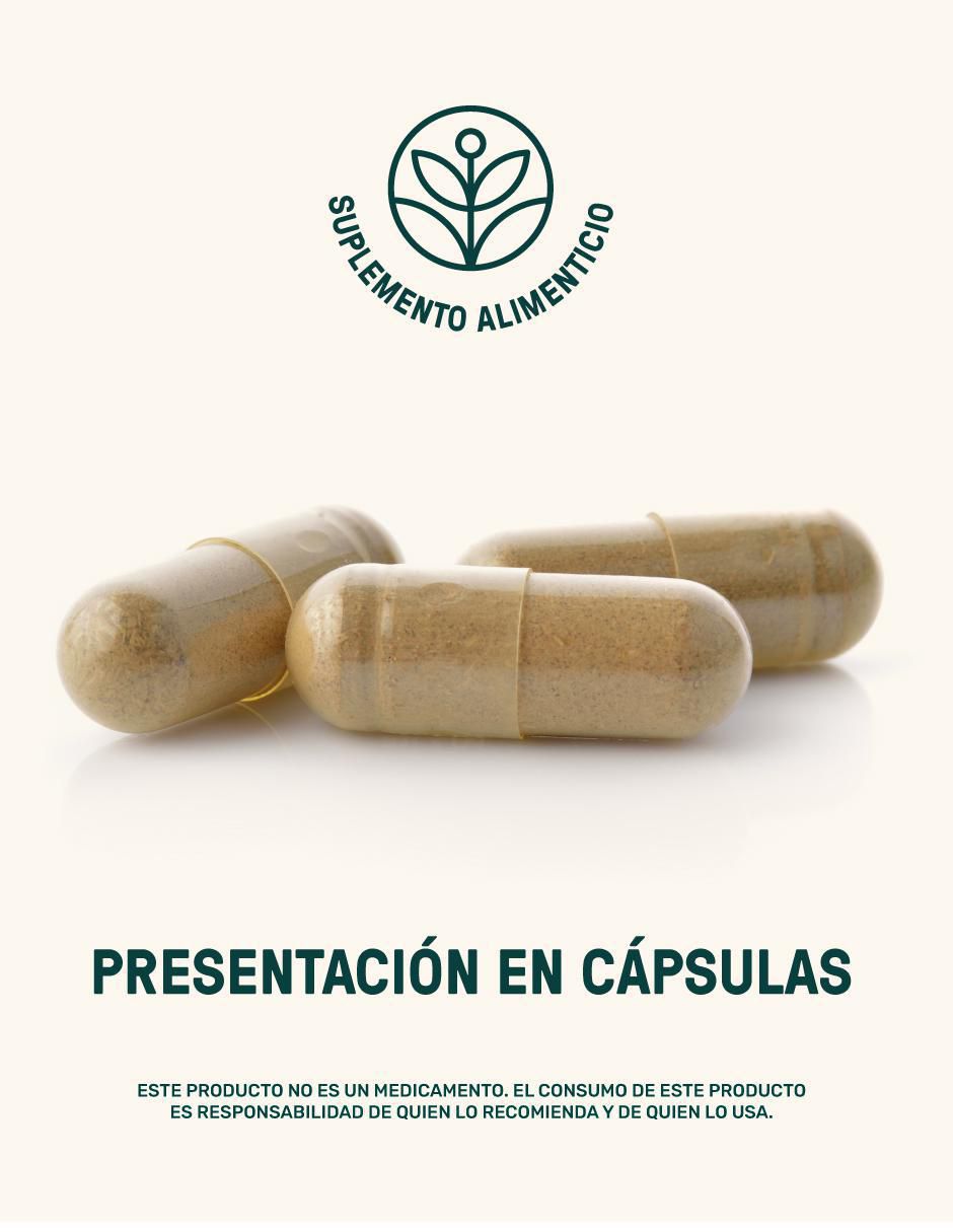 Set de suplementos omega 3 salmon oil + magnesium mix 4 tipos de magnesio 16