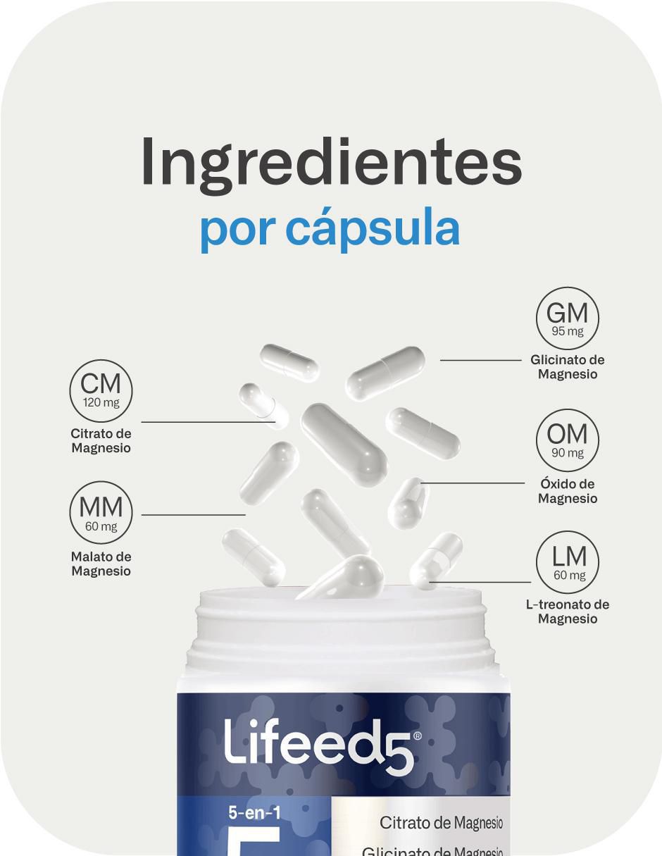 Magnesio Blend Lifeed5 con magnesio 6