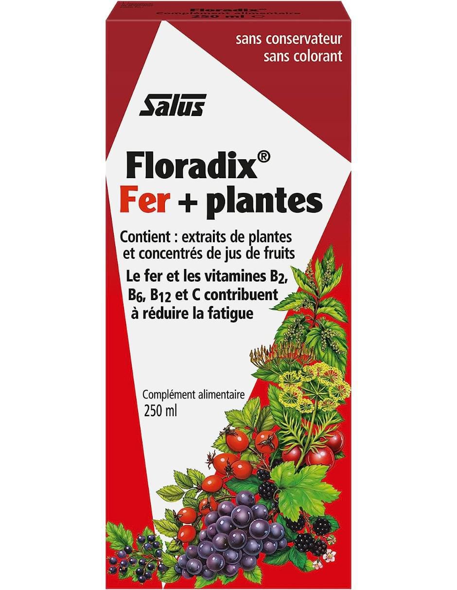 Floradix + H Salus sabor frutal de 250 ml 2
