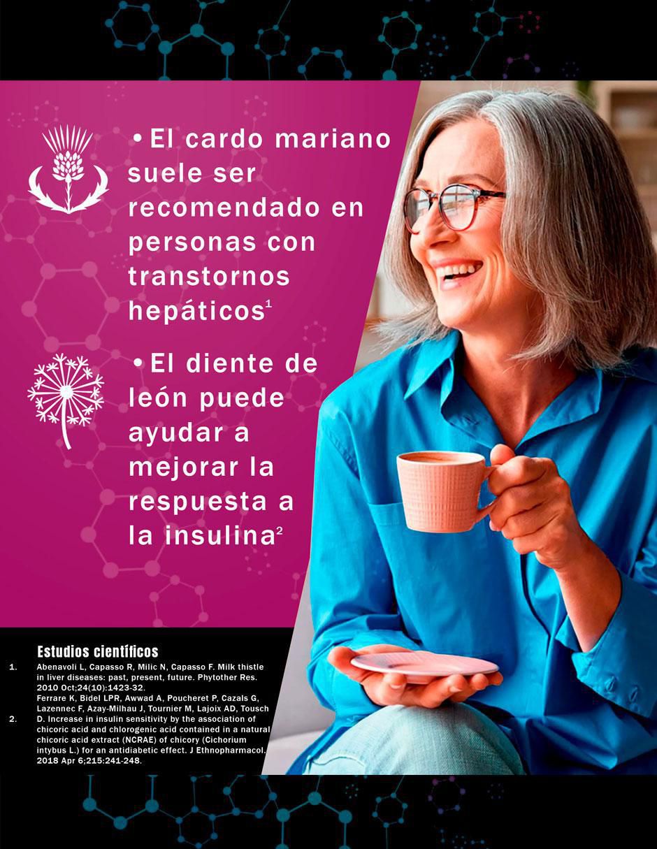 Milk Thistle con achicoria de 120 cápsulas 3