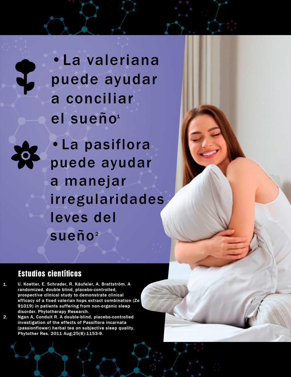 Dreams con l-teanina de 90 cápsulas 3
