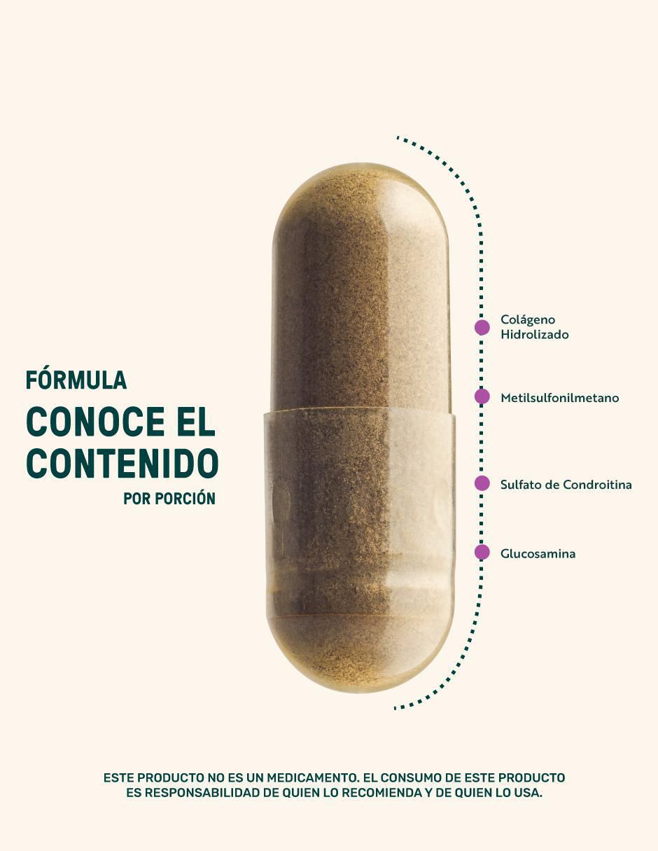 Jnts Blend: MSM Metilsulfonilmetano, D-glucosamina, Sulfato de Condroitina Bovina, Colágeno Hidrolizado, Estearato de Magnesio y Dióxido de Silicio Life 360+ con metilsulfonilmetano de 240 cápsulas 5