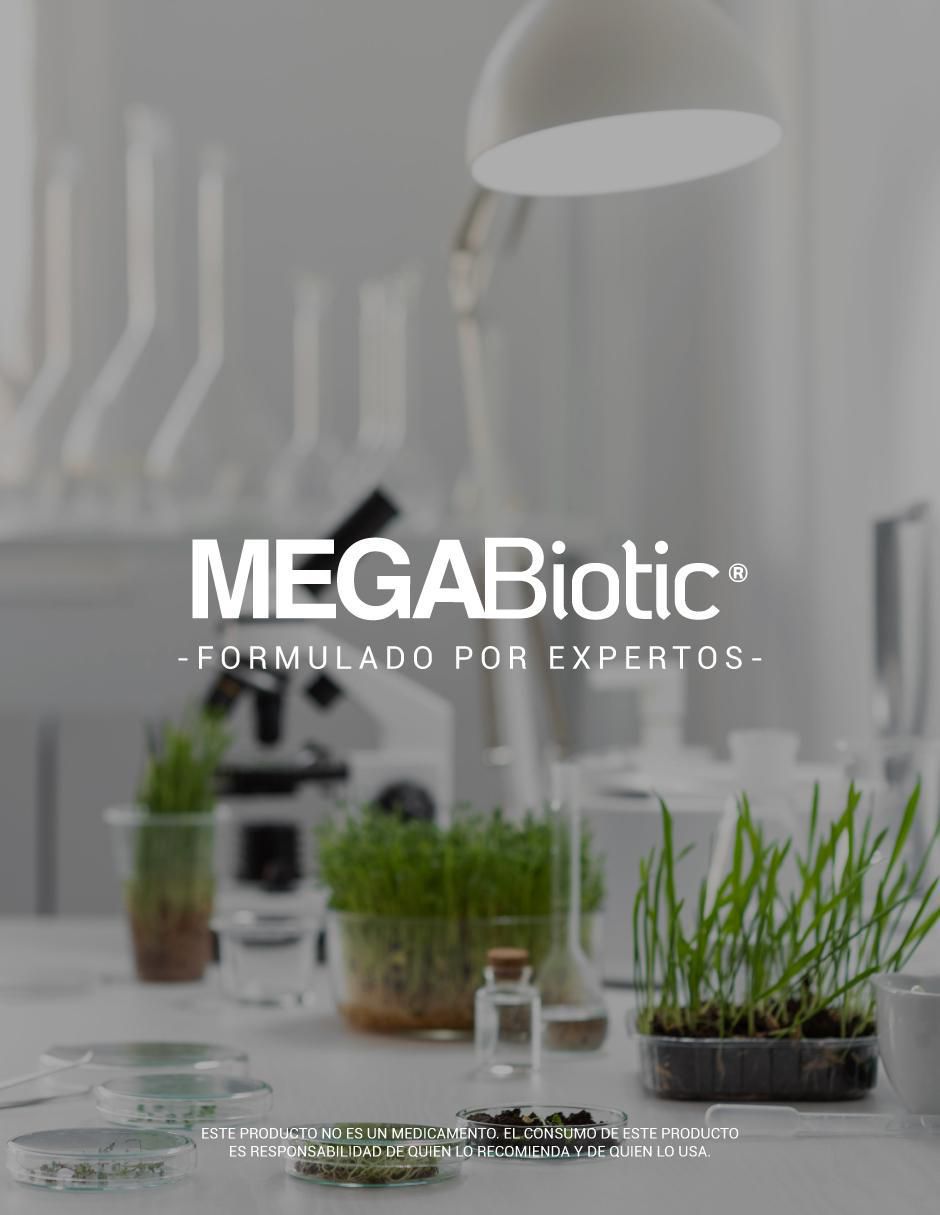 Probióticos y prebióticos con creatina men edition Megabiotic de 60 cápsulas 7