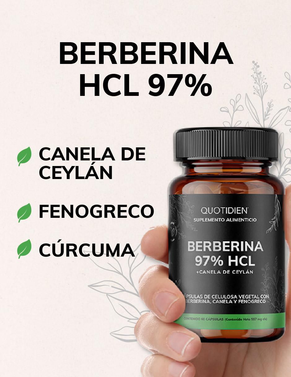 Berberina Clorhidrato Canela de Ceylán Fenogreco Cúrcuma de 60 cápsulas 2