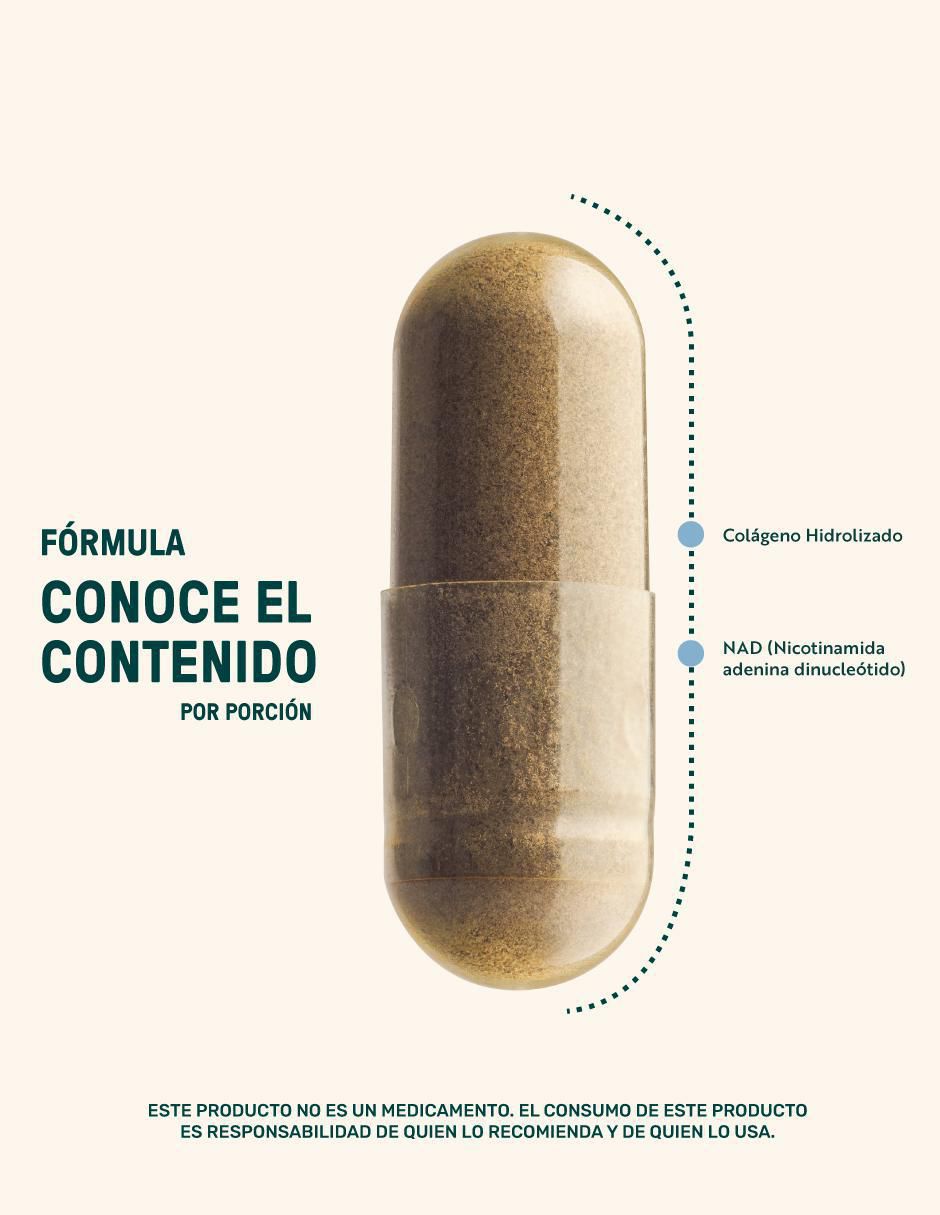 NAD (Nicotinamida Adenina Dinucleótido) + Colágeno Hidrolizado 210 Cápsulas 4