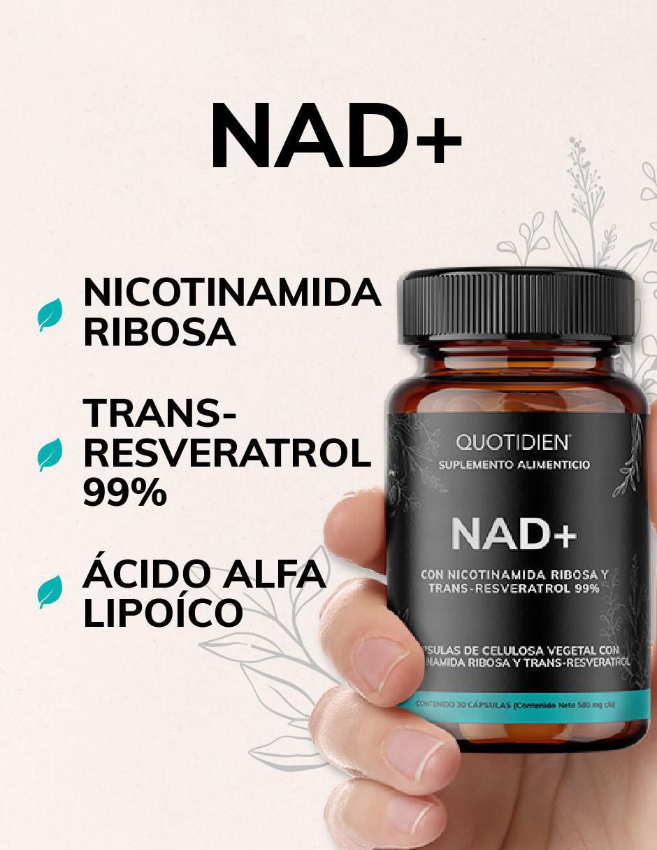 Nicotinamida Ribosa Trans Reveratrol Acido Alfalipoico de 30 cápsulas 2
