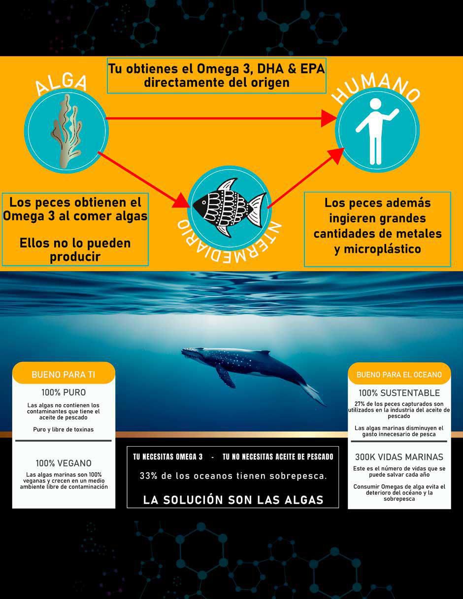 Omega Algae 3 con omega 3, epa y dha de 90 cápsulas 7