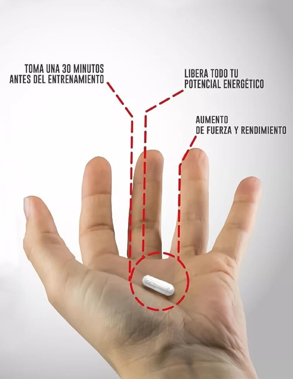 L-Carnitina 4 En 1 Platinum Testrol 2