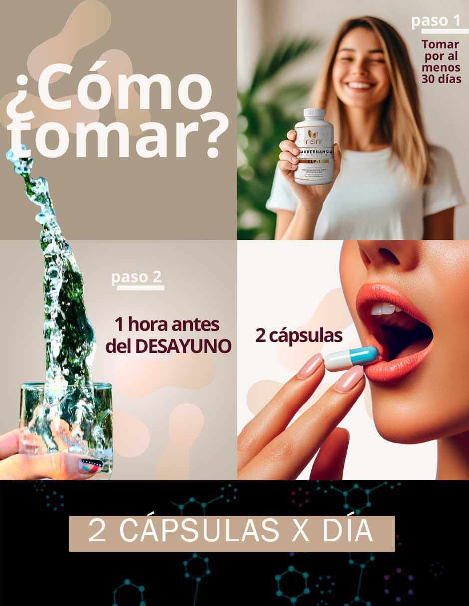 Akkermansia Booster GLP 1 con berberina de 60 cápsulas 2