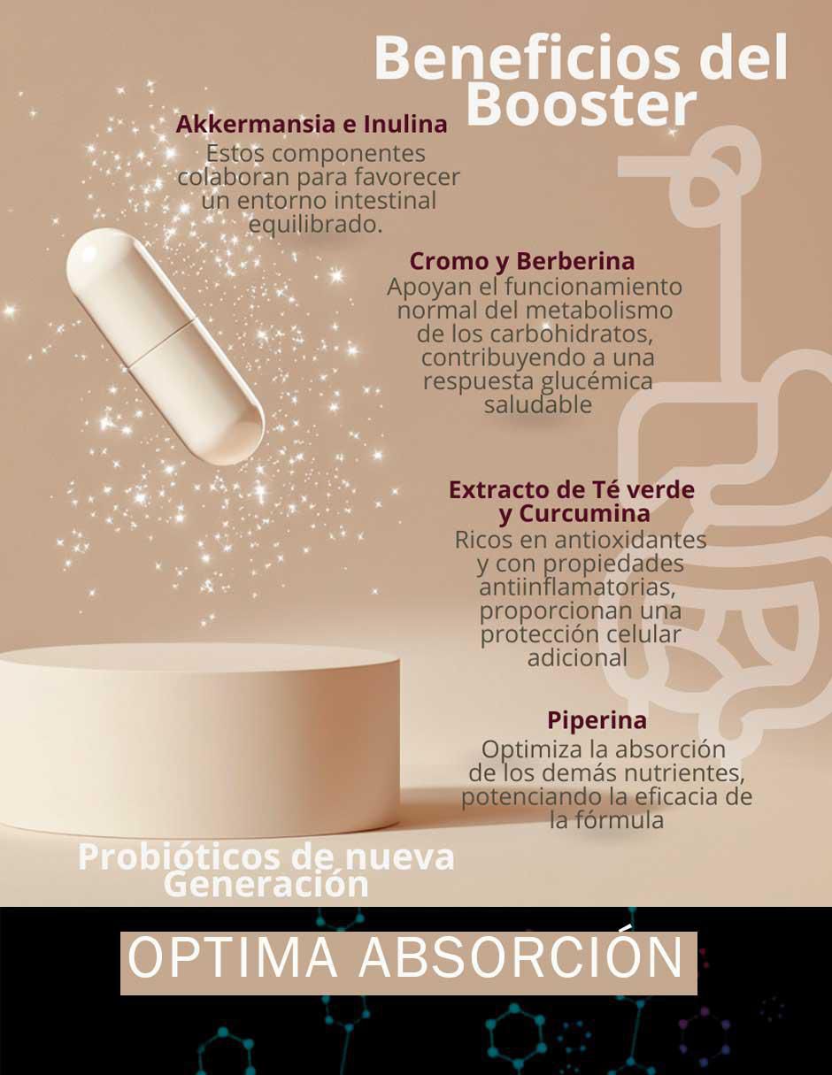 Akkermansia Booster GLP 1 con berberina de 60 cápsulas 3
