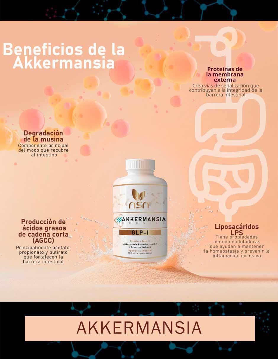 Akkermansia Booster GLP 1 con berberina de 60 cápsulas 4