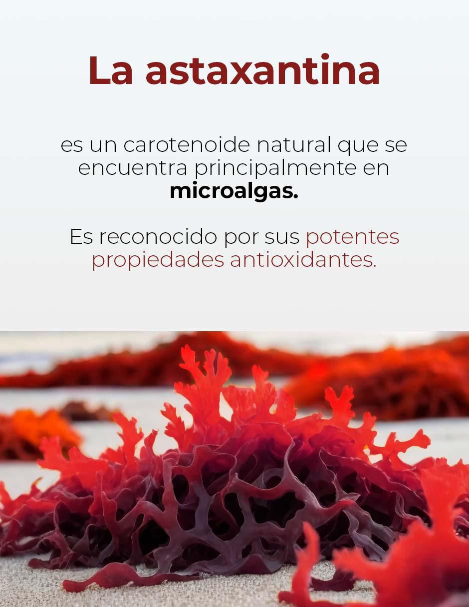 Astaxantina + Aceite de Coco Maklen de 90 cápsulas 5