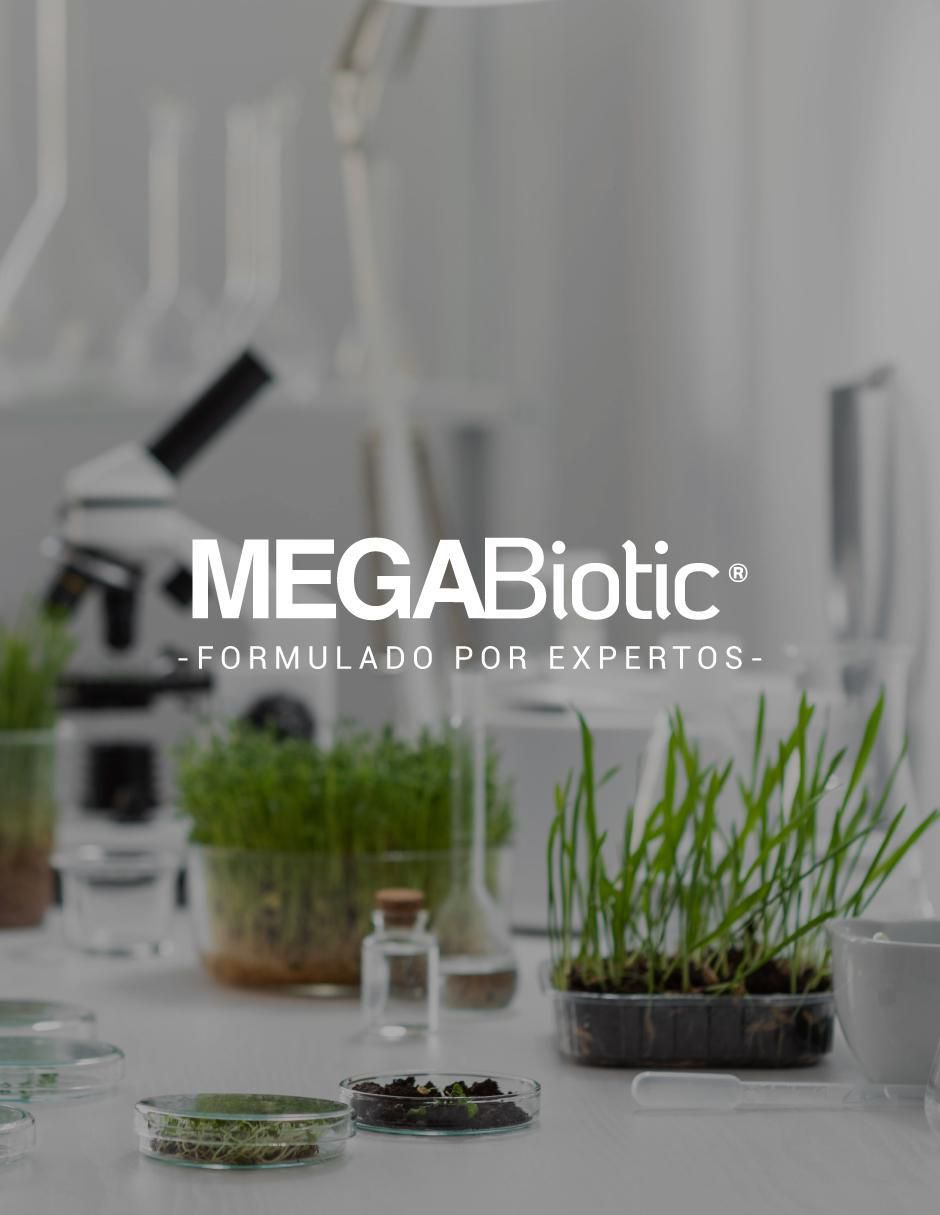 Probióticos 11 Cepas 60 Billones con Inulina de Agave Megabiotic con probióticos de 100 cápsulas 7