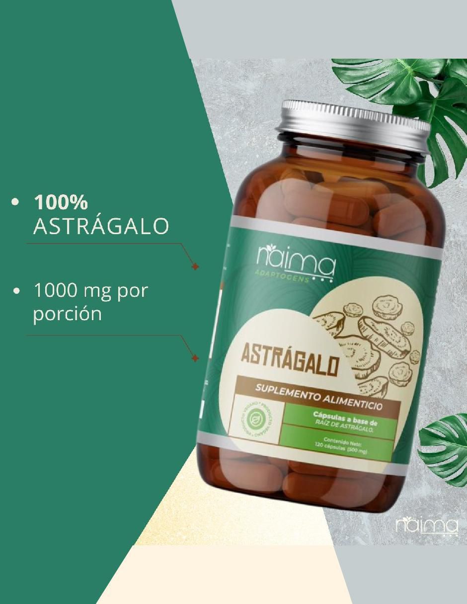 Astrágalo Adaptogens Vegano con astrágalo de 120 cápsulas 8