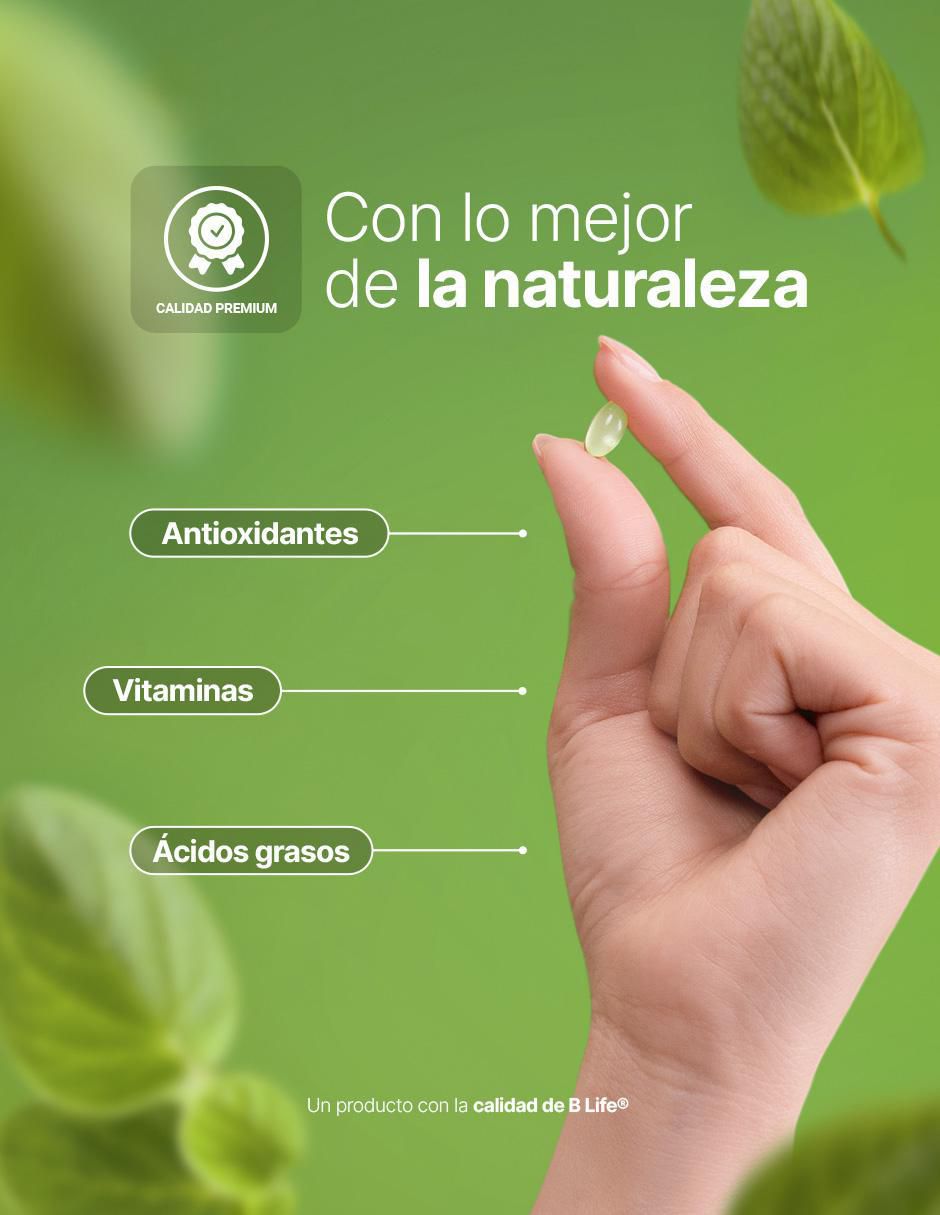 Aceite de Orégano de 300 cápsulas 6