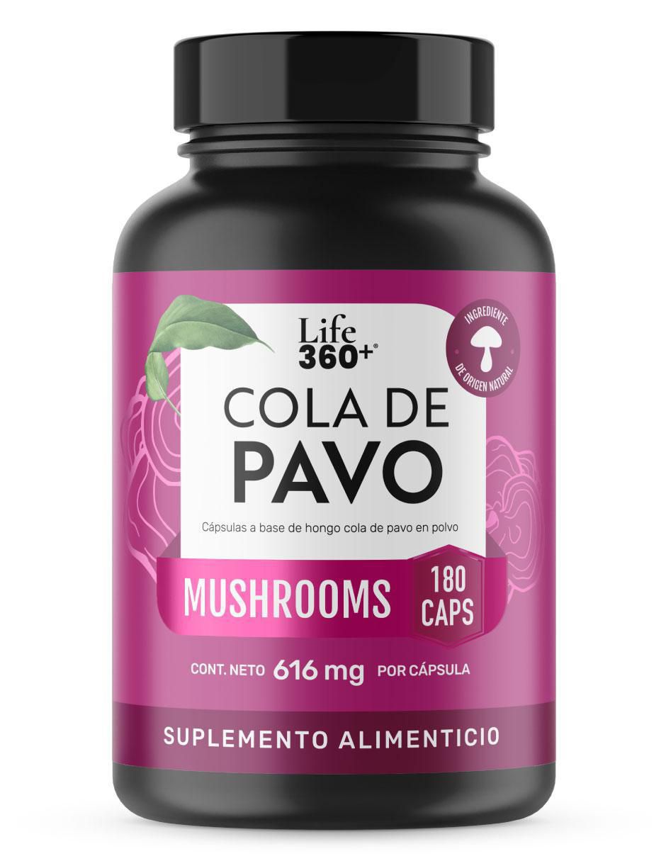 Cola de Pavo Mushrooms con cola de pavo Cola de Pavo Mushrooms con cola de pavo