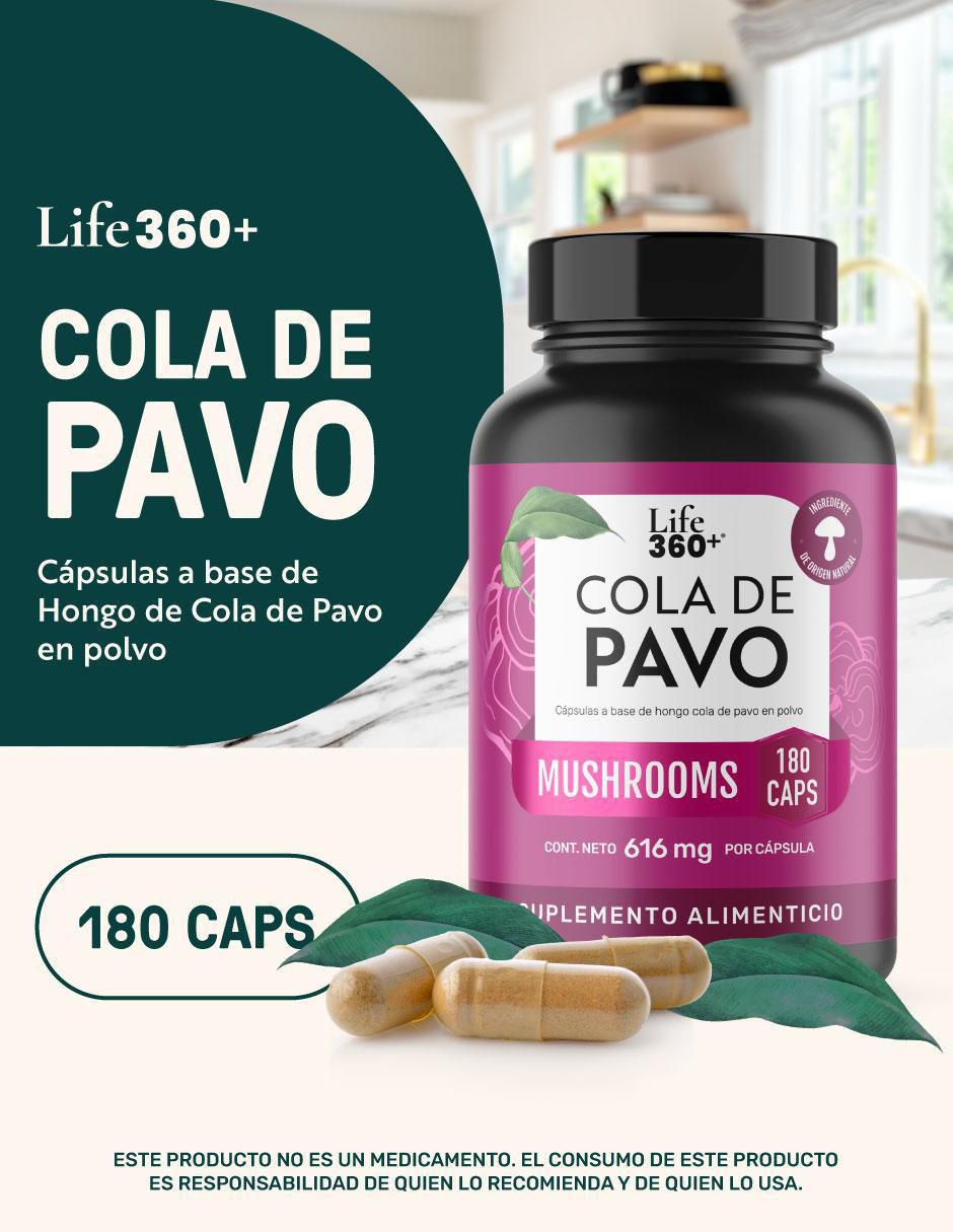 Cola de Pavo Mushrooms con cola de pavo
